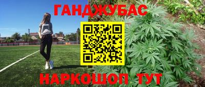 дмт Гусев