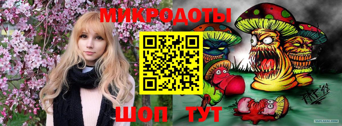 Галлюциногенные грибы прущие грибы Новозыбков