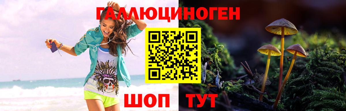 Галлюциногенные грибы мицелий  закладка  Новозыбков  Вход с VPN 