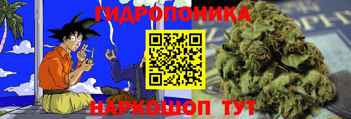 Новозыбков  Каннабис OG Kush  Конопля ГИДРОПОН  Шишки марихуана VHQ  Вход с VPN 